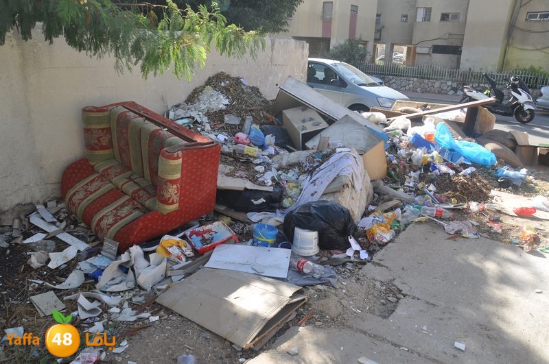 rawda narjes s111 (15).JPG
